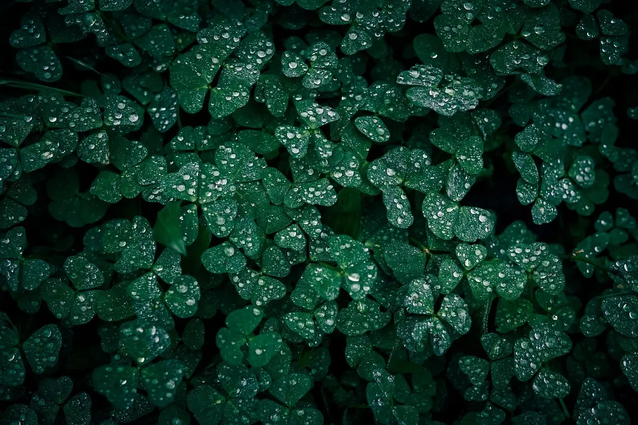 Sådan udtaler du svære irske klubnavne