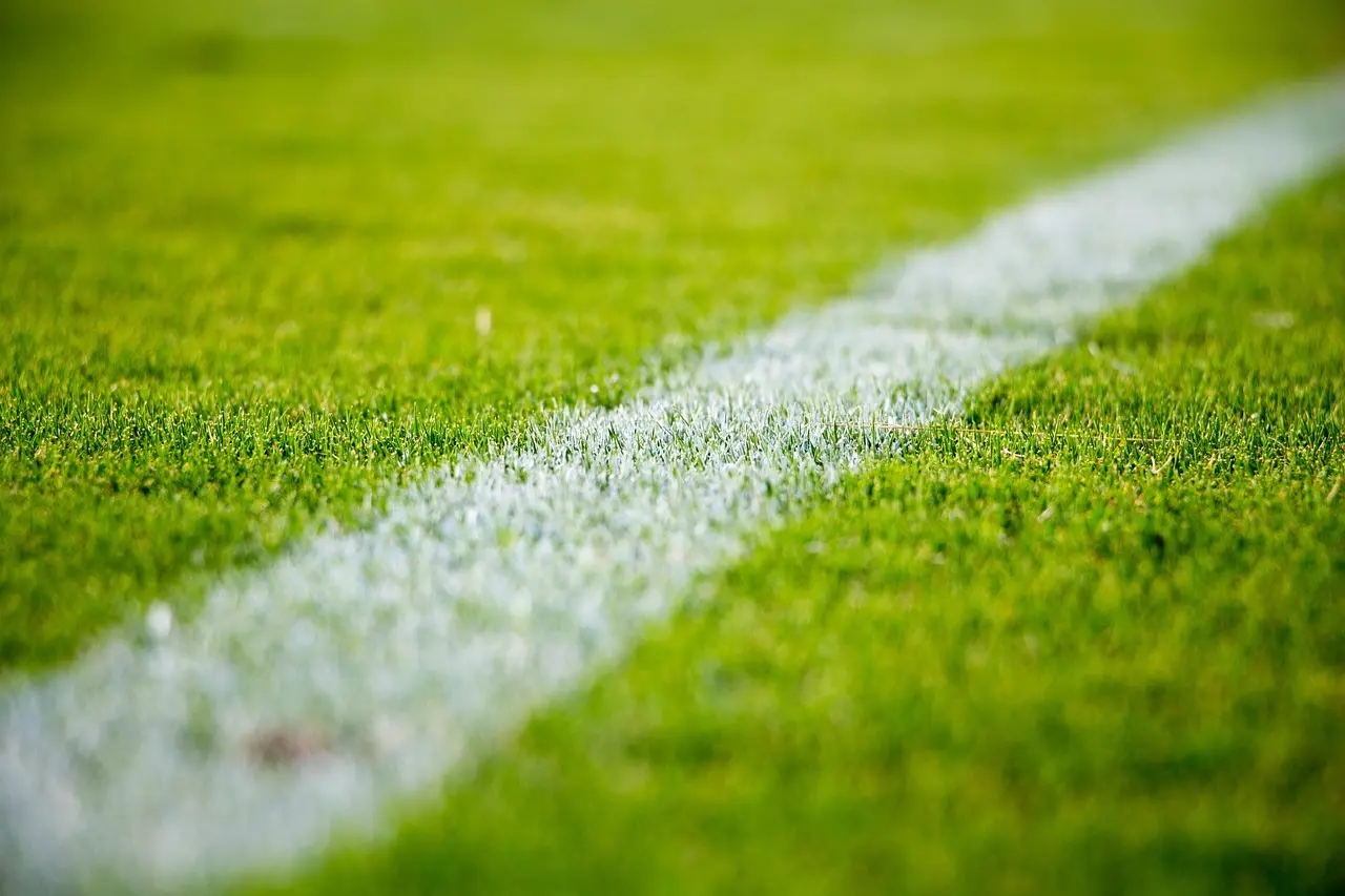 Premier Division runde 19: Udebaneslag, en sen afgørelse i Tolka – og en smal hjemmejubel i Sligo