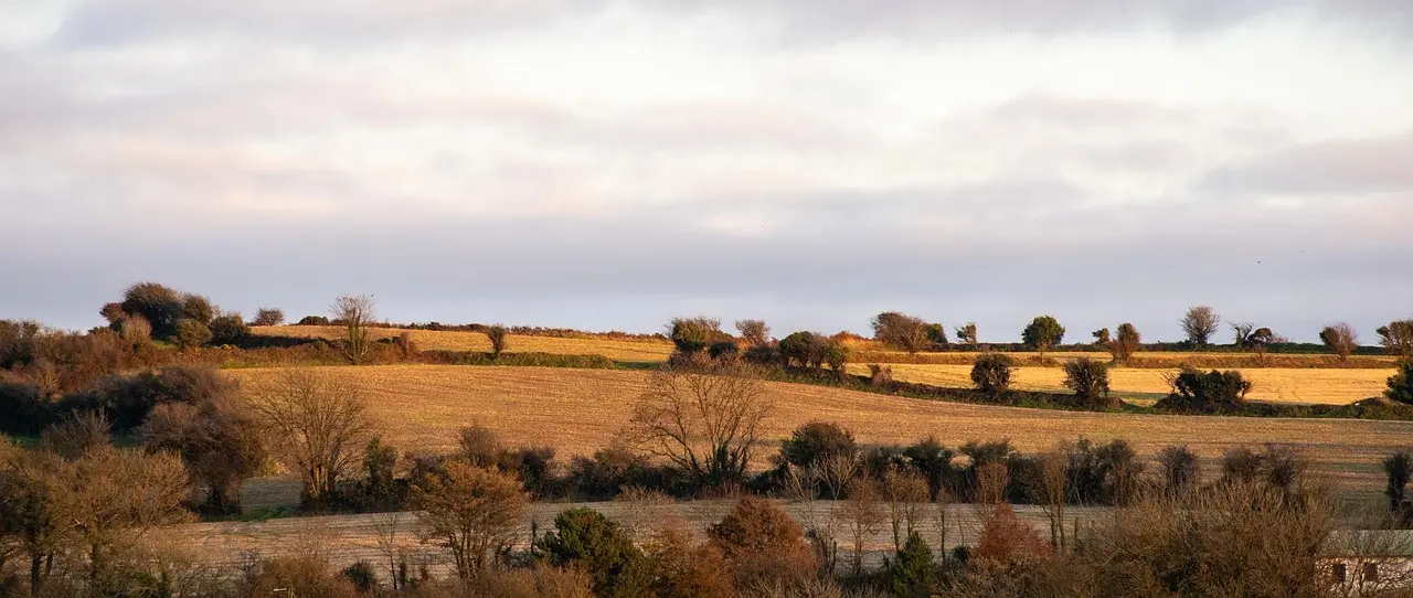 Hvordan er vejret i Cork i august?