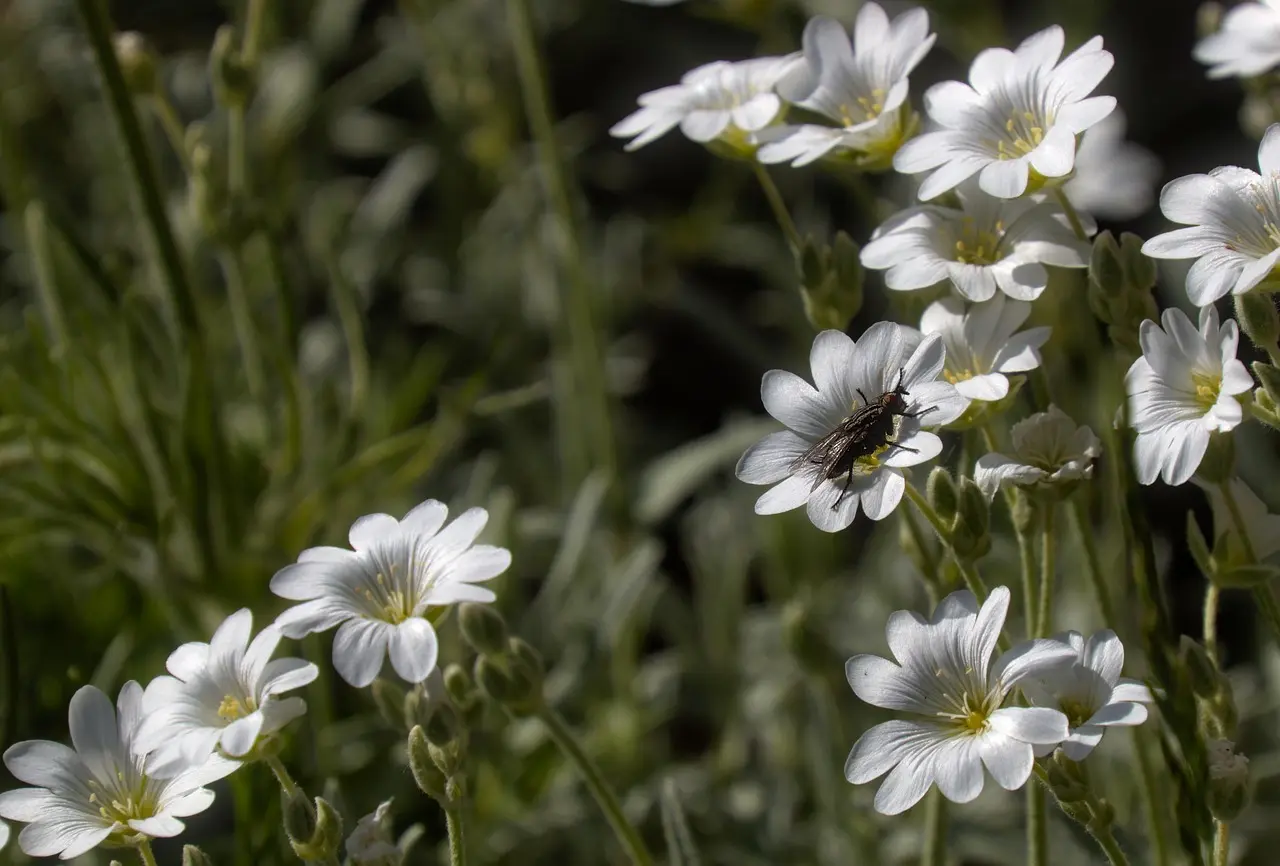 Medvirkende i Angel Has Fallen